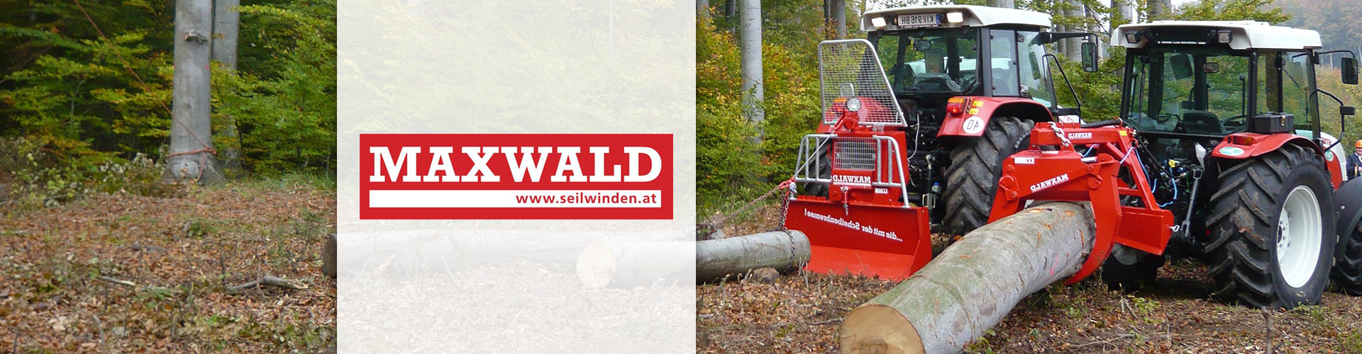 Maxwald